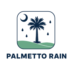 Palmetto Rain